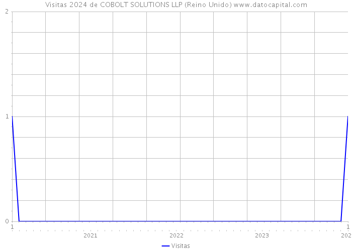 Visitas 2024 de COBOLT SOLUTIONS LLP (Reino Unido) 