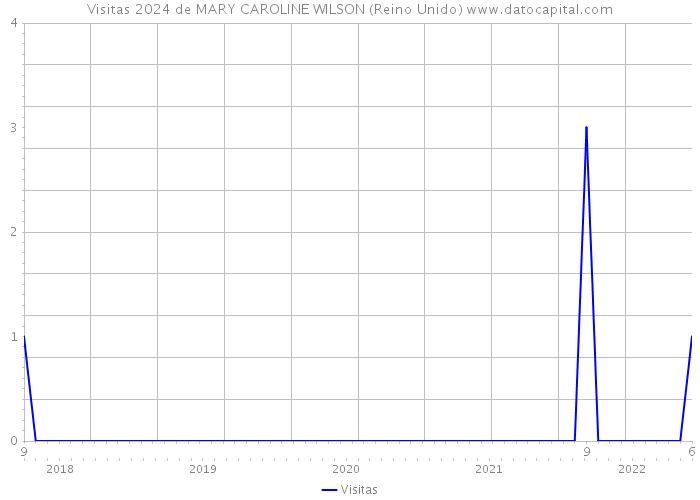 Visitas 2024 de MARY CAROLINE WILSON (Reino Unido) 