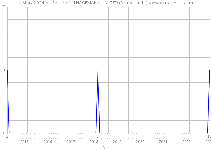 Visitas 2024 de SALLY ANN HAGEMANN LIMITED (Reino Unido) 