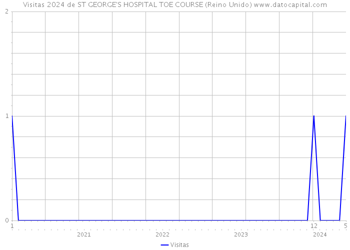 Visitas 2024 de ST GEORGE'S HOSPITAL TOE COURSE (Reino Unido) 
