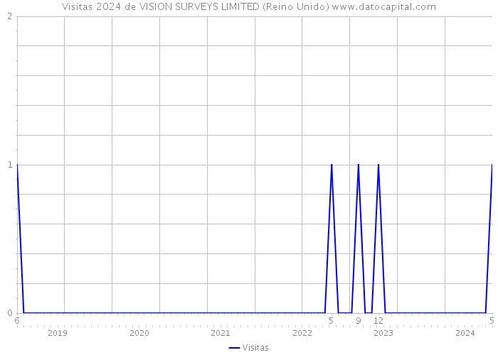 Visitas 2024 de VISION SURVEYS LIMITED (Reino Unido) 