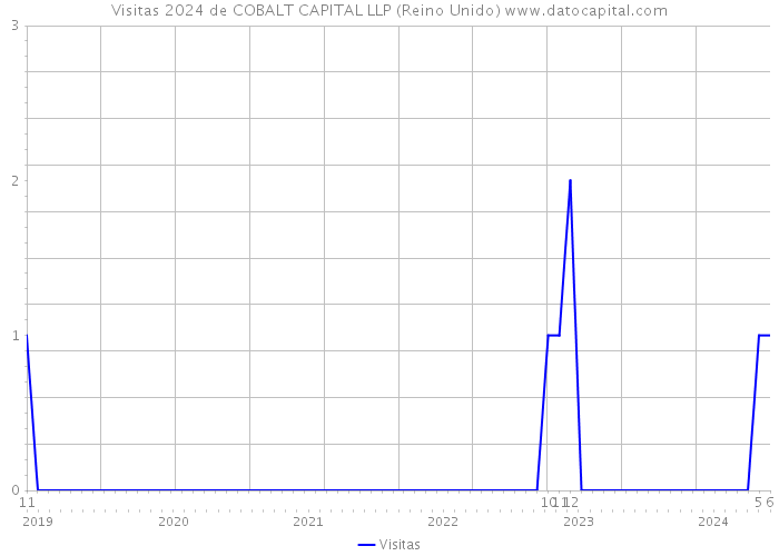 Visitas 2024 de COBALT CAPITAL LLP (Reino Unido) 