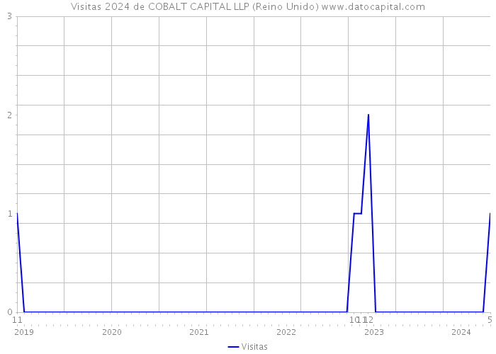 Visitas 2024 de COBALT CAPITAL LLP (Reino Unido) 