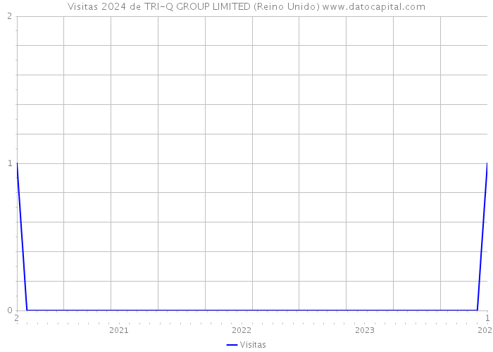 Visitas 2024 de TRI-Q GROUP LIMITED (Reino Unido) 