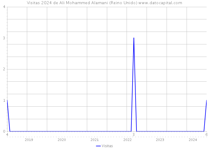 Visitas 2024 de Ali Mohammed Alamani (Reino Unido) 