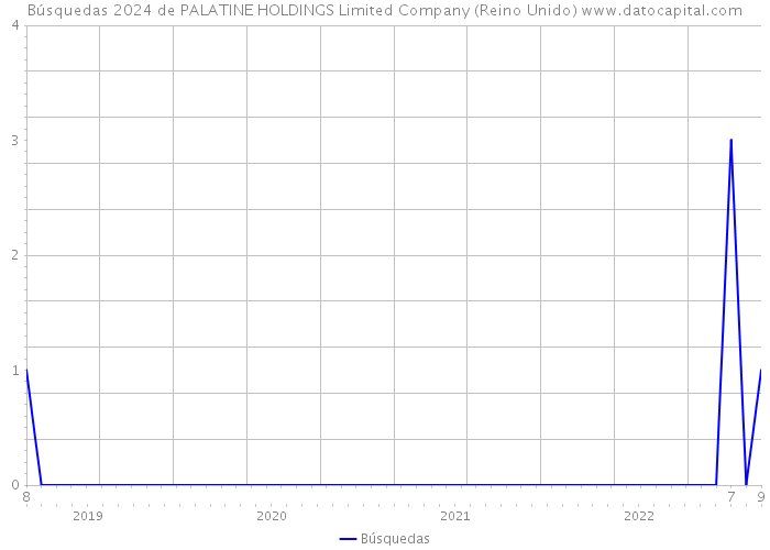 Búsquedas 2024 de PALATINE HOLDINGS Limited Company (Reino Unido) 