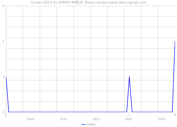 Visitas 2024 de SARAH SMELIK (Reino Unido) 