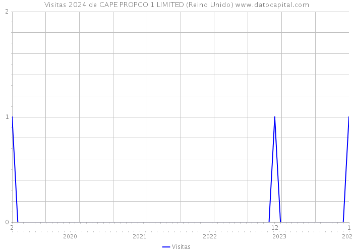 Visitas 2024 de CAPE PROPCO 1 LIMITED (Reino Unido) 
