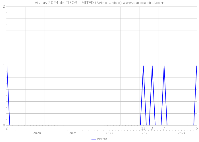 Visitas 2024 de TIBOR LIMITED (Reino Unido) 