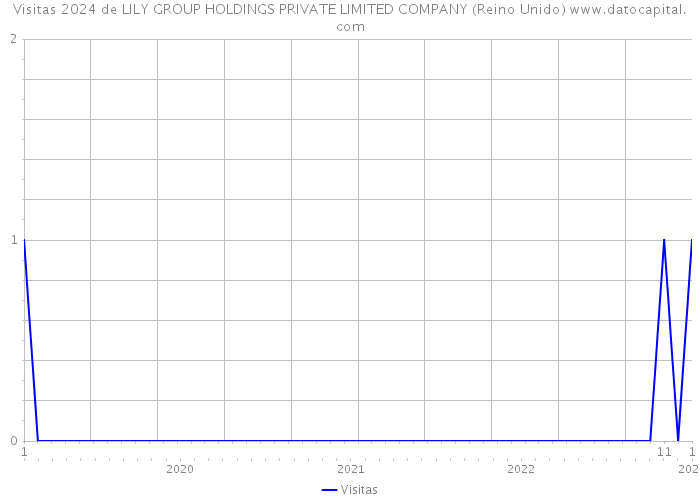 Visitas 2024 de LILY GROUP HOLDINGS PRIVATE LIMITED COMPANY (Reino Unido) 