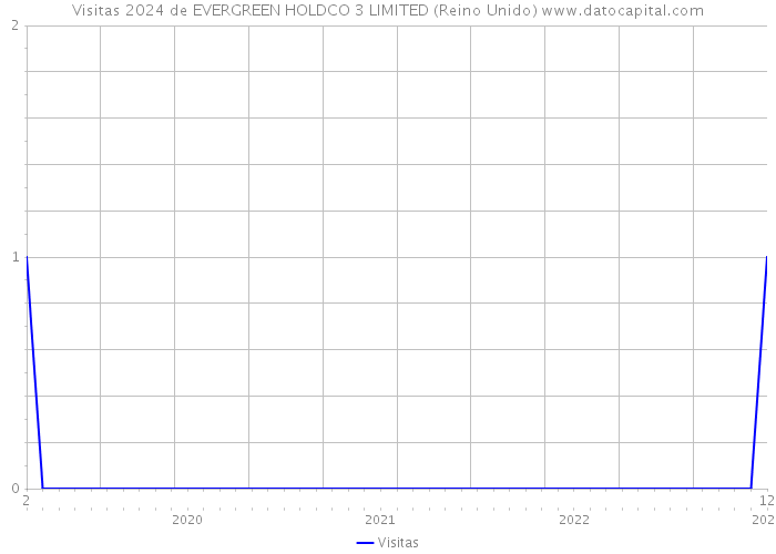 Visitas 2024 de EVERGREEN HOLDCO 3 LIMITED (Reino Unido) 