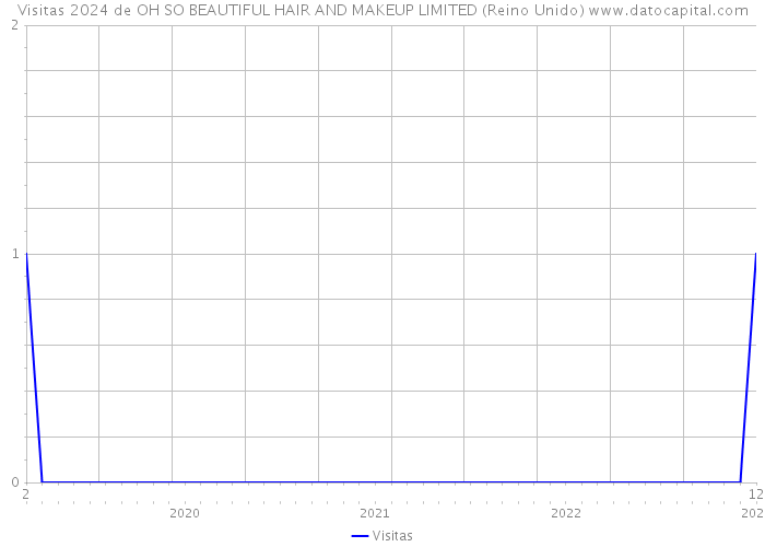 Visitas 2024 de OH SO BEAUTIFUL HAIR AND MAKEUP LIMITED (Reino Unido) 