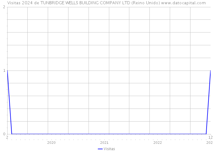 Visitas 2024 de TUNBRIDGE WELLS BUILDING COMPANY LTD (Reino Unido) 