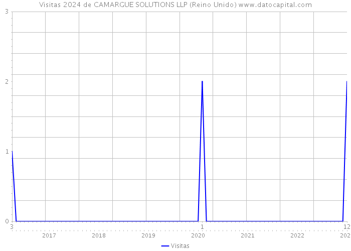 Visitas 2024 de CAMARGUE SOLUTIONS LLP (Reino Unido) 