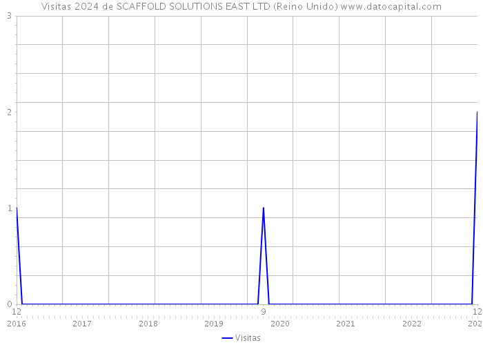 Visitas 2024 de SCAFFOLD SOLUTIONS EAST LTD (Reino Unido) 