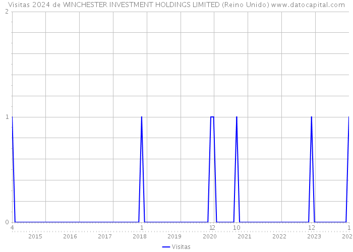 Visitas 2024 de WINCHESTER INVESTMENT HOLDINGS LIMITED (Reino Unido) 