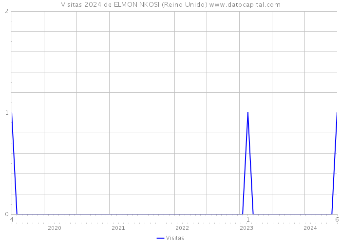 Visitas 2024 de ELMON NKOSI (Reino Unido) 