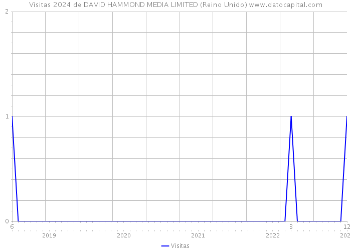 Visitas 2024 de DAVID HAMMOND MEDIA LIMITED (Reino Unido) 