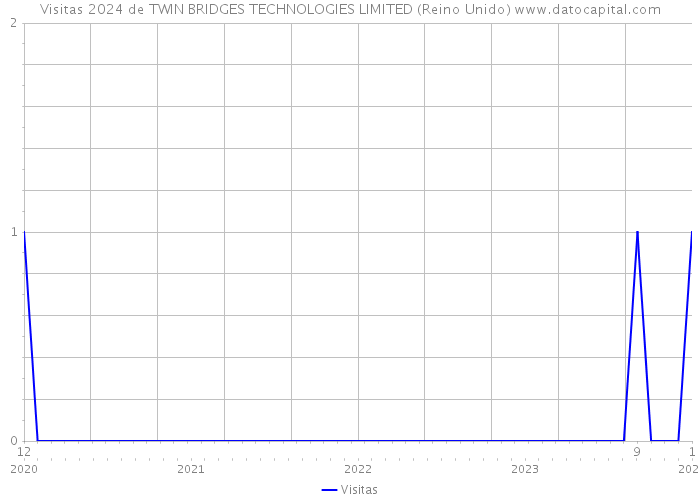 Visitas 2024 de TWIN BRIDGES TECHNOLOGIES LIMITED (Reino Unido) 