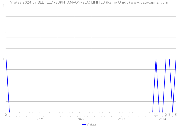 Visitas 2024 de BELFIELD (BURNHAM-ON-SEA) LIMITED (Reino Unido) 