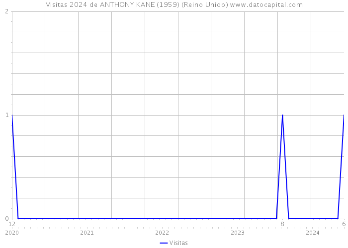 Visitas 2024 de ANTHONY KANE (1959) (Reino Unido) 