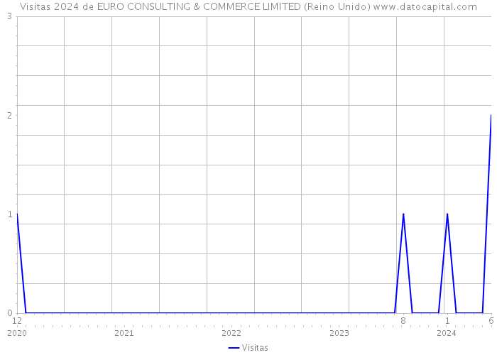 Visitas 2024 de EURO CONSULTING & COMMERCE LIMITED (Reino Unido) 