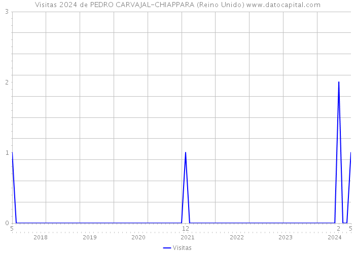 Visitas 2024 de PEDRO CARVAJAL-CHIAPPARA (Reino Unido) 