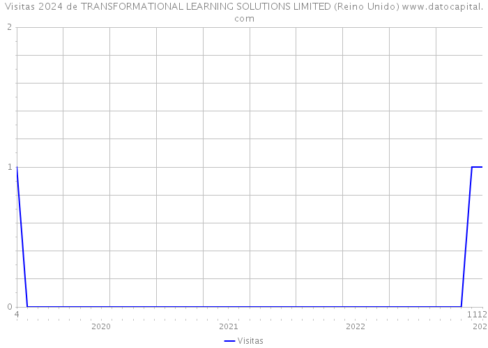 Visitas 2024 de TRANSFORMATIONAL LEARNING SOLUTIONS LIMITED (Reino Unido) 