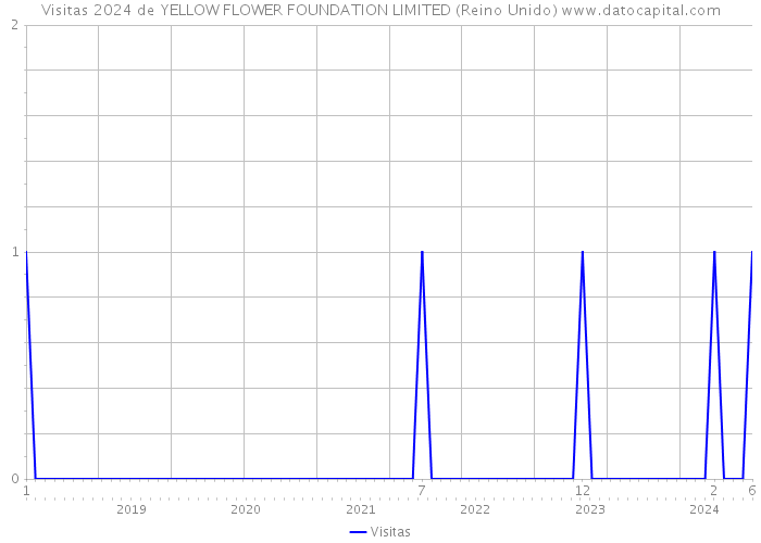 Visitas 2024 de YELLOW FLOWER FOUNDATION LIMITED (Reino Unido) 