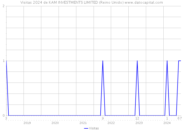 Visitas 2024 de KAM INVESTMENTS LIMITED (Reino Unido) 