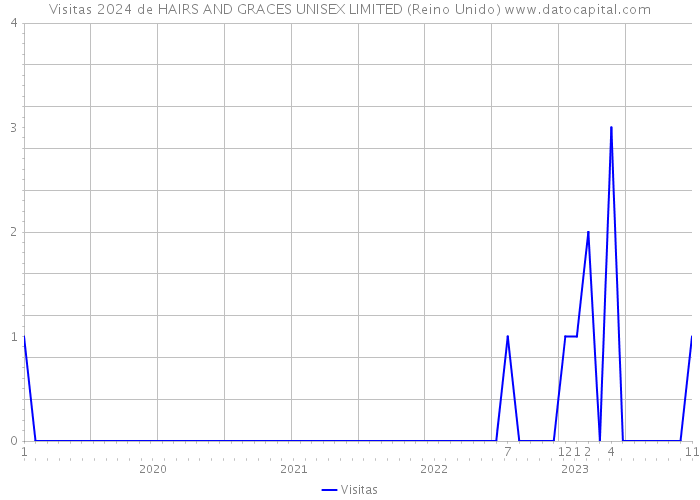 Visitas 2024 de HAIRS AND GRACES UNISEX LIMITED (Reino Unido) 