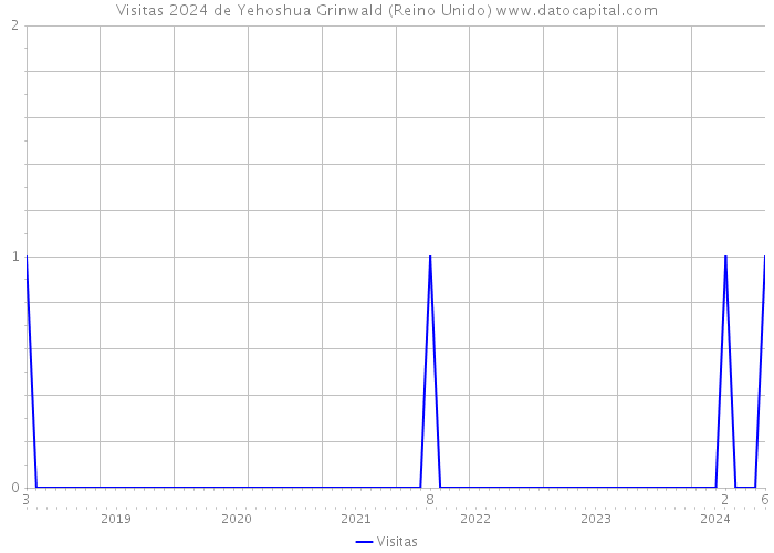 Visitas 2024 de Yehoshua Grinwald (Reino Unido) 