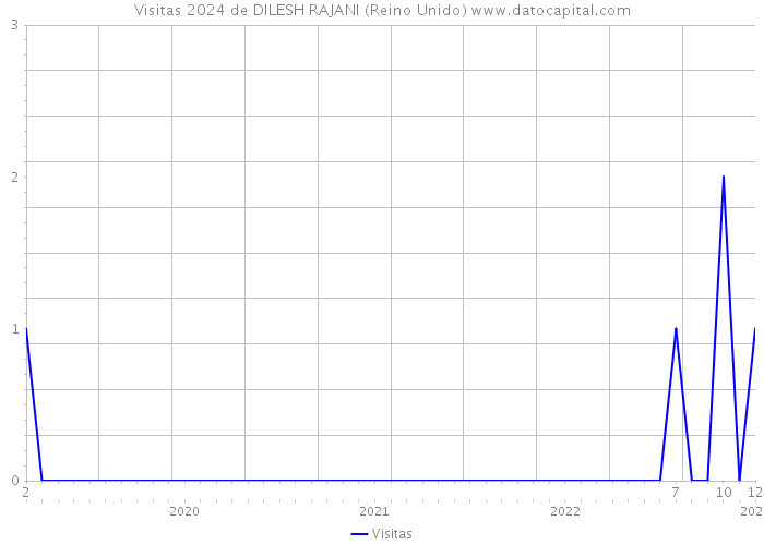 Visitas 2024 de DILESH RAJANI (Reino Unido) 