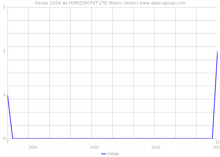 Visitas 2024 de HORIZON PVT LTD (Reino Unido) 