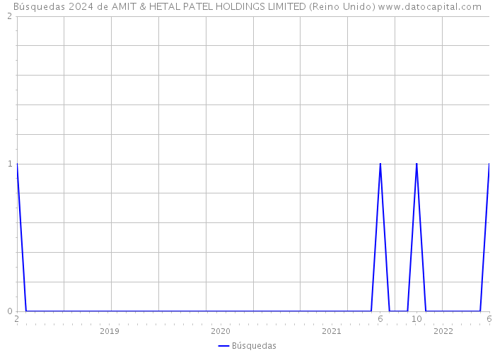 Búsquedas 2024 de AMIT & HETAL PATEL HOLDINGS LIMITED (Reino Unido) 