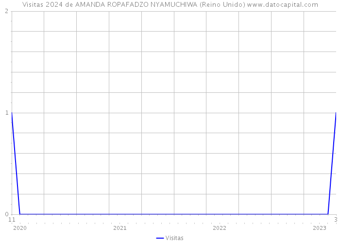 Visitas 2024 de AMANDA ROPAFADZO NYAMUCHIWA (Reino Unido) 