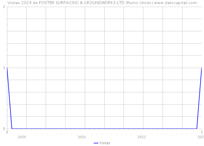 Visitas 2024 de FOSTER SURFACING & GROUNDWORKS LTD (Reino Unido) 