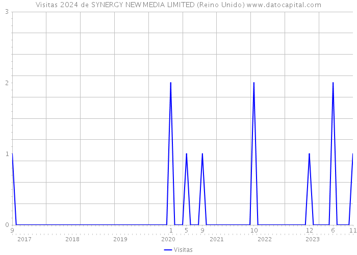 Visitas 2024 de SYNERGY NEW MEDIA LIMITED (Reino Unido) 