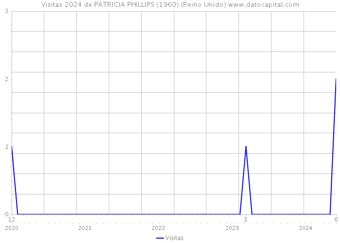 Visitas 2024 de PATRICIA PHILLIPS (1960) (Reino Unido) 