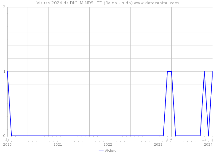 Visitas 2024 de DIGI MINDS LTD (Reino Unido) 