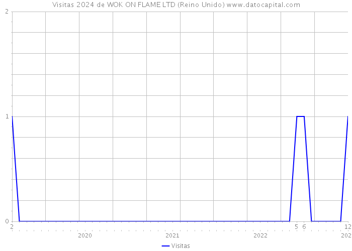 Visitas 2024 de WOK ON FLAME LTD (Reino Unido) 