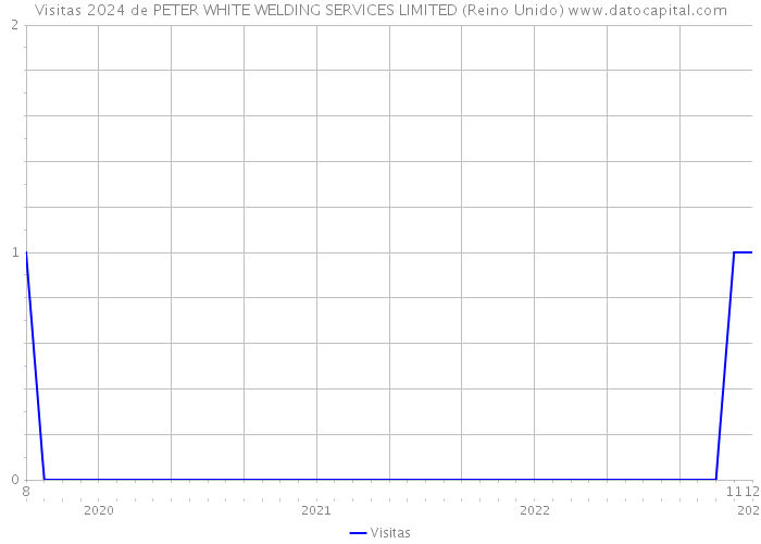 Visitas 2024 de PETER WHITE WELDING SERVICES LIMITED (Reino Unido) 