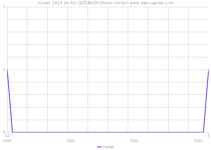 Visitas 2024 de ALI QIZILBASH (Reino Unido) 