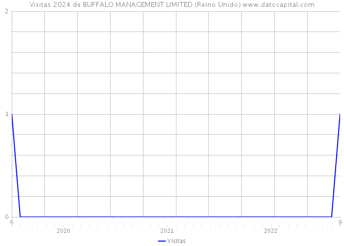 Visitas 2024 de BUFFALO MANAGEMENT LIMITED (Reino Unido) 