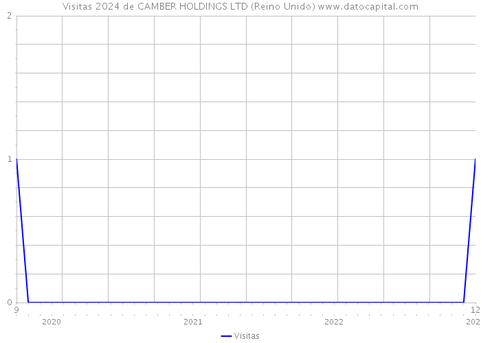 Visitas 2024 de CAMBER HOLDINGS LTD (Reino Unido) 