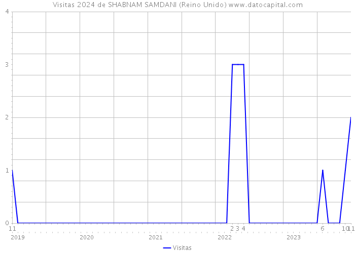 Visitas 2024 de SHABNAM SAMDANI (Reino Unido) 