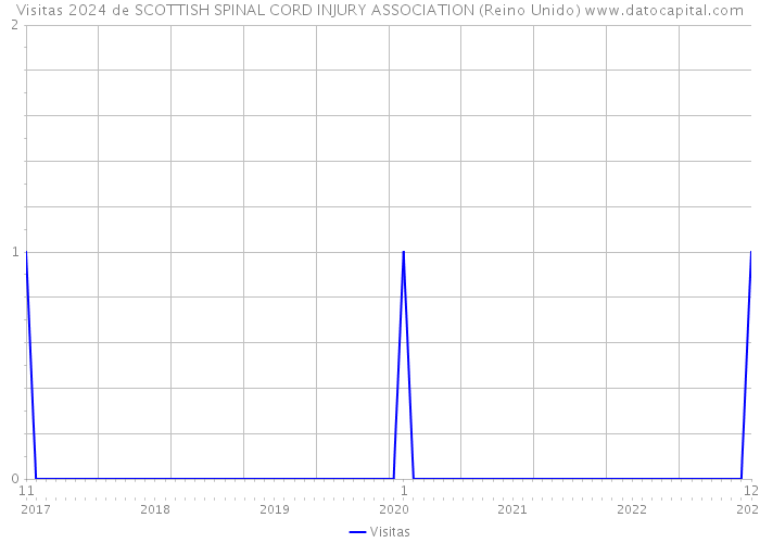 Visitas 2024 de SCOTTISH SPINAL CORD INJURY ASSOCIATION (Reino Unido) 