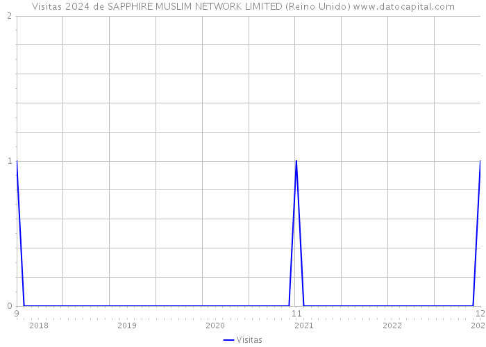 Visitas 2024 de SAPPHIRE MUSLIM NETWORK LIMITED (Reino Unido) 