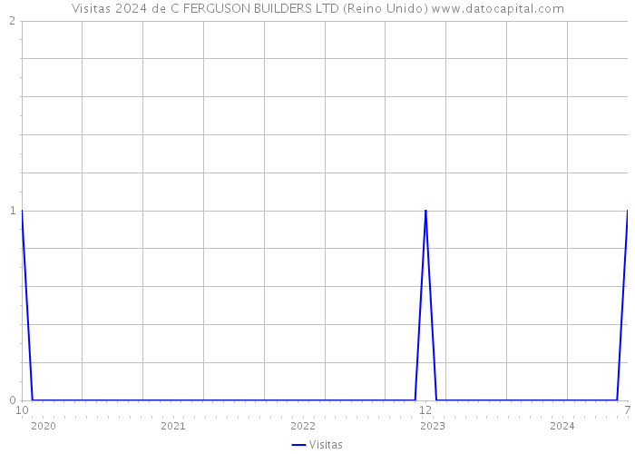 Visitas 2024 de C FERGUSON BUILDERS LTD (Reino Unido) 