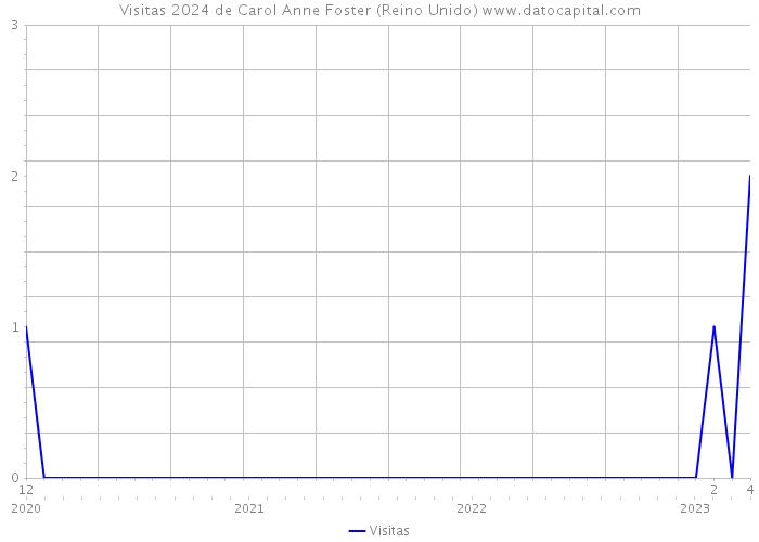 Visitas 2024 de Carol Anne Foster (Reino Unido) 